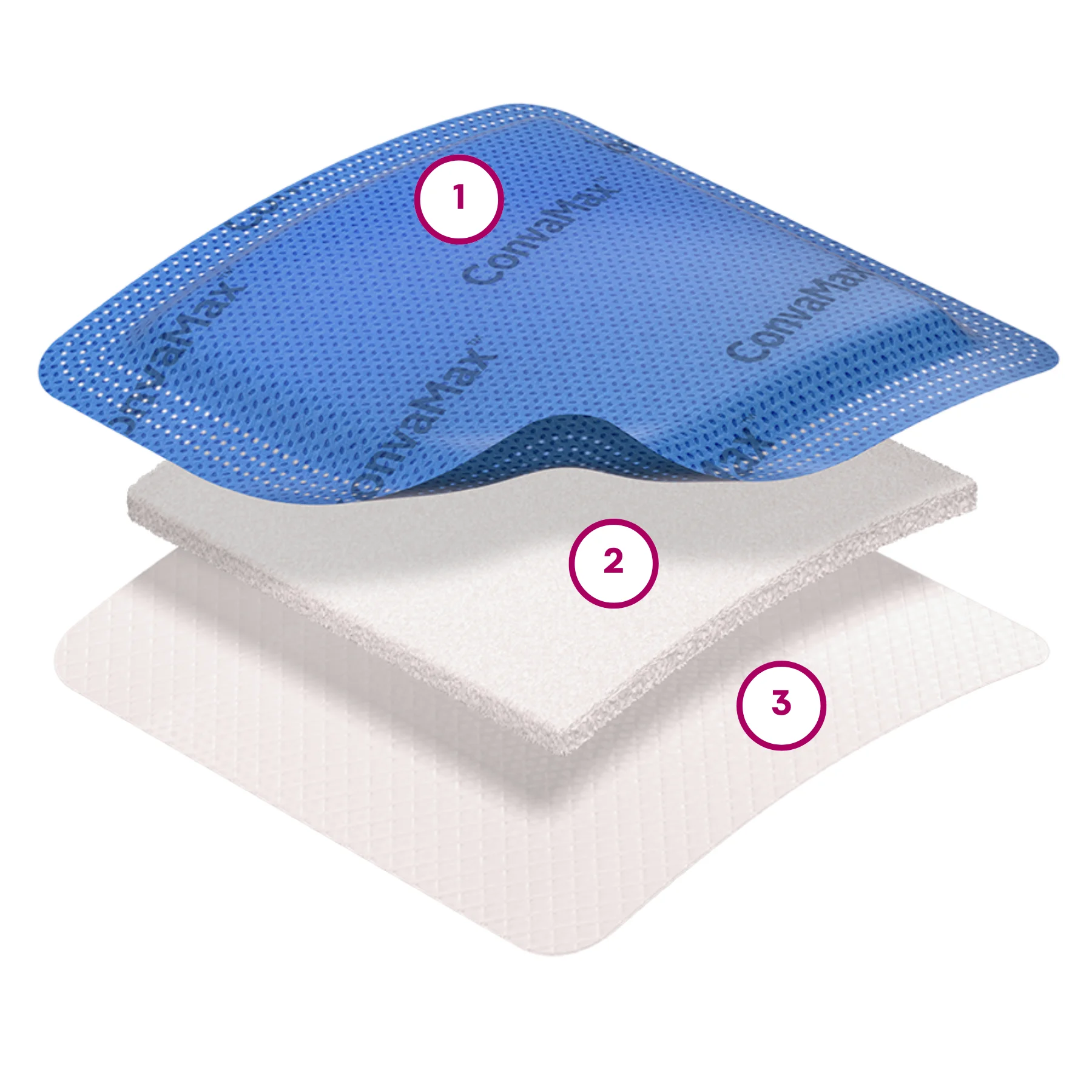 A close-up of ConvaMax™ Superabsorber layers: a blue backing layer, a white absorbent core, and a wound contact layer.