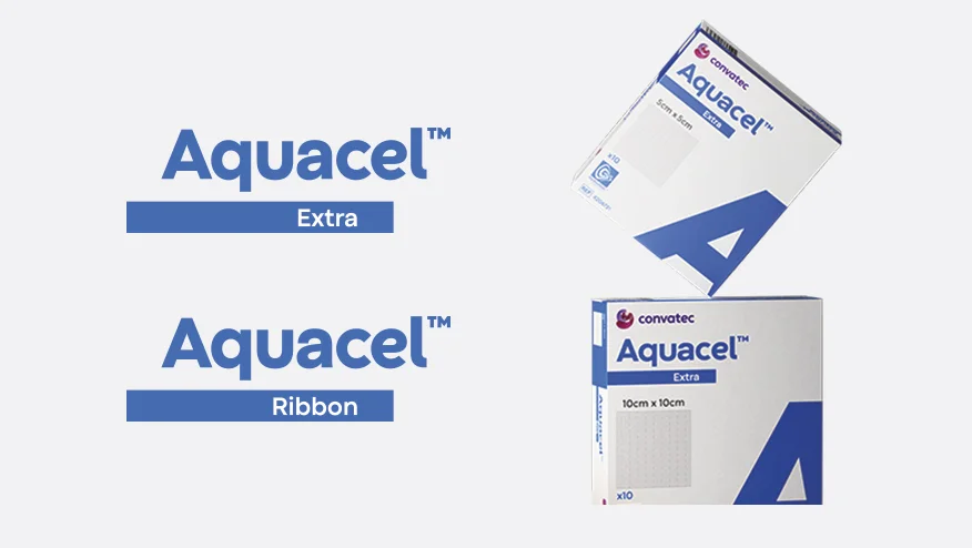 graphical user interface, application, Word